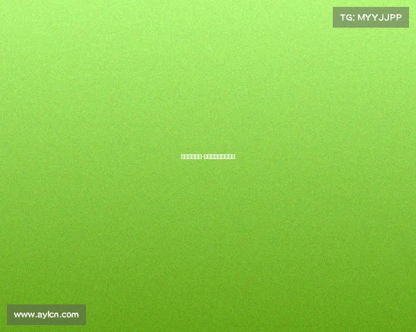 辽宁飞豹赛事-辽宁飞豹俱乐部官网